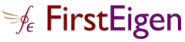 FirstEigen-Logo